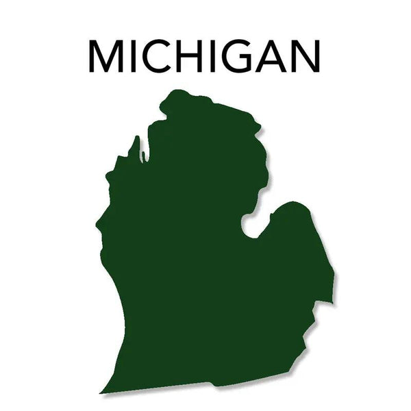 Michigan Map – Professor Higbee's® Stream & Lake Maps