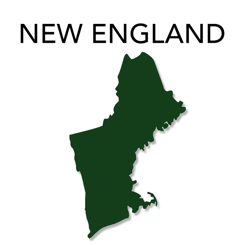 New England Map – Professor Higbee's® Stream & Lake Maps